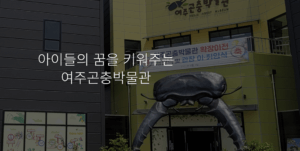 여주 곤충 박물관 
자연 과학 공부