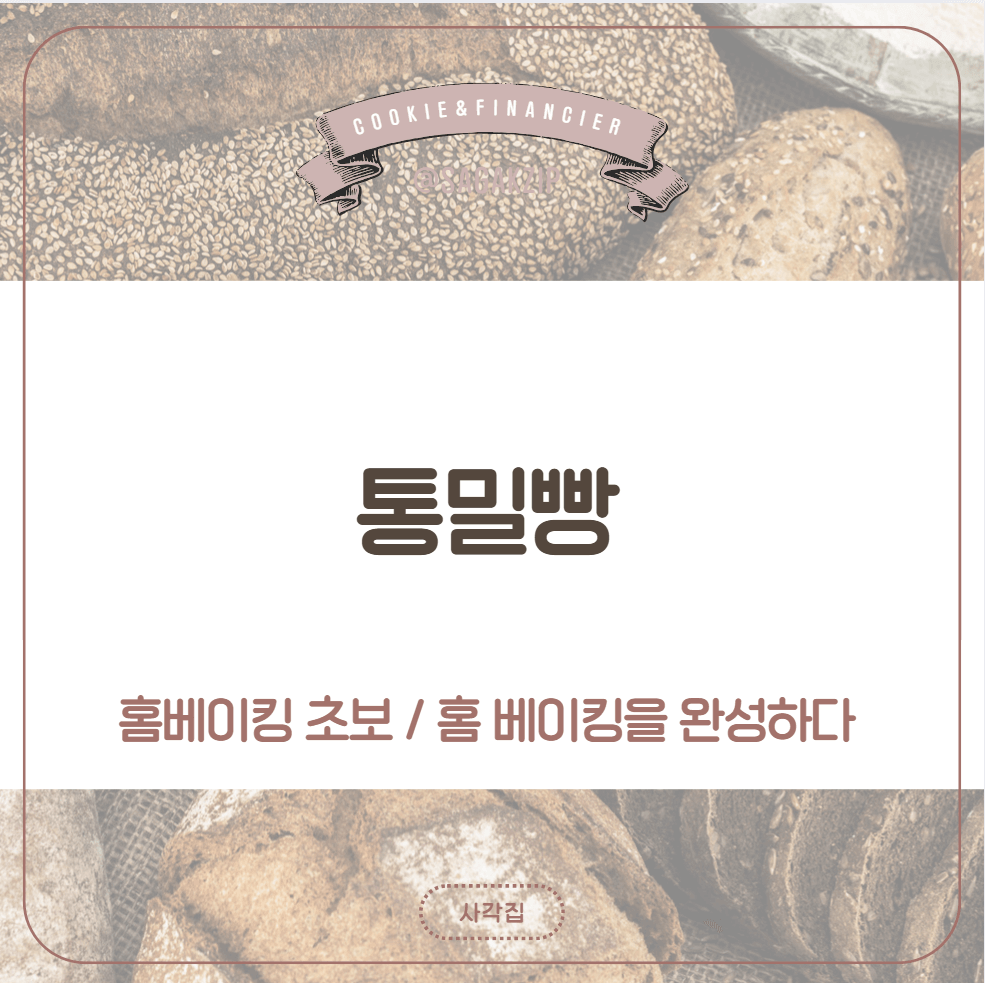 통밀빵 만드는 방법

통밀빵 건강 효능

통밀빵 반죽 과정

통밀빵 발효 팁

통밀빵 굽기 비법